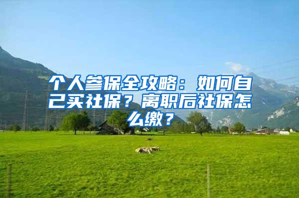 个人参保全攻略：如何自己买社保？离职后社保怎么缴？