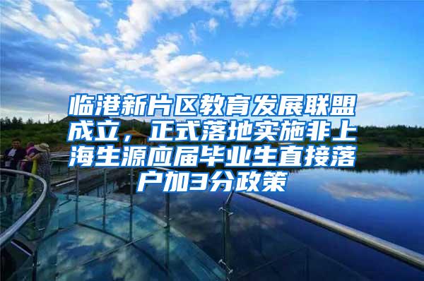 临港新片区教育发展联盟成立，正式落地实施非上海生源应届毕业生直接落户加3分政策