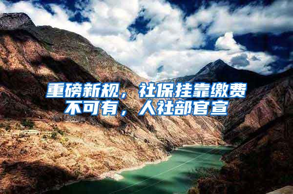 重磅新规，社保挂靠缴费不可有，人社部官宣