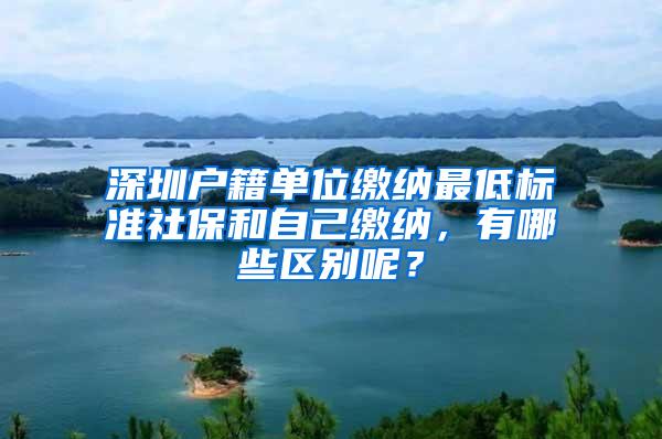 深圳户籍单位缴纳最低标准社保和自己缴纳，有哪些区别呢？