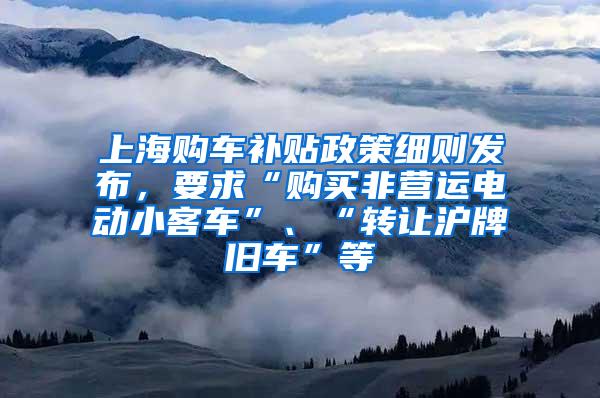 上海购车补贴政策细则发布，要求“购买非营运电动小客车”、“转让沪牌旧车”等