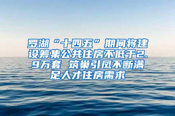 罗湖“十四五”期间将建设筹集公共住房不低于2.9万套 筑巢引凤不断满足人才住房需求