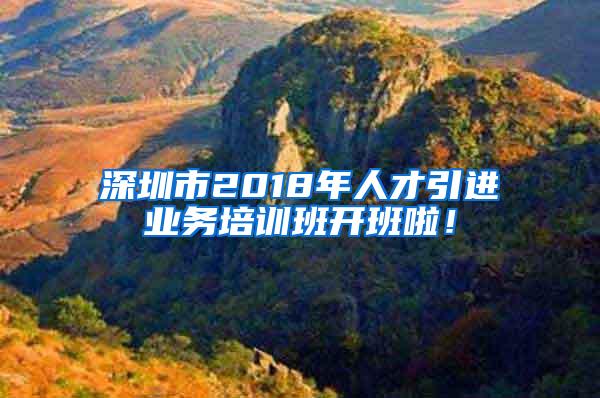 深圳市2018年人才引进业务培训班开班啦！