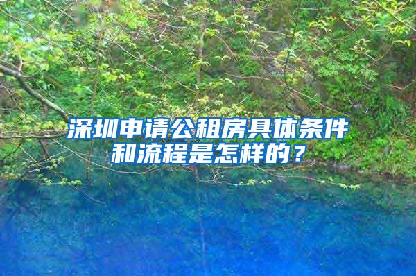 深圳申请公租房具体条件和流程是怎样的？