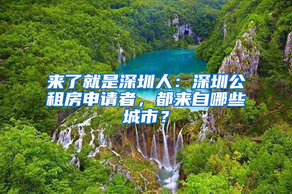 来了就是深圳人：深圳公租房申请者，都来自哪些城市？