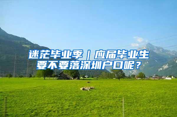 迷茫毕业季｜应届毕业生要不要落深圳户口呢？