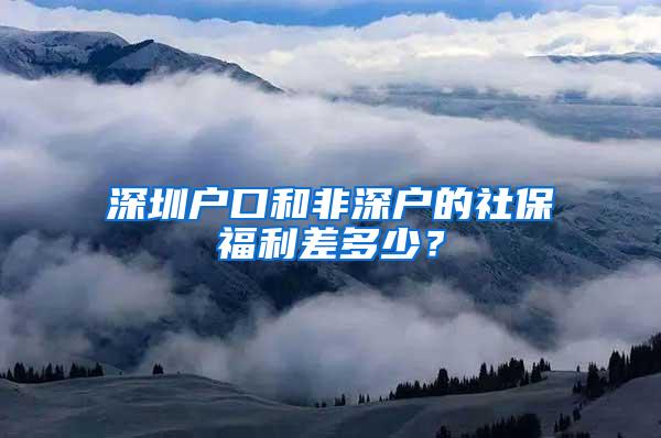 深圳户口和非深户的社保福利差多少？