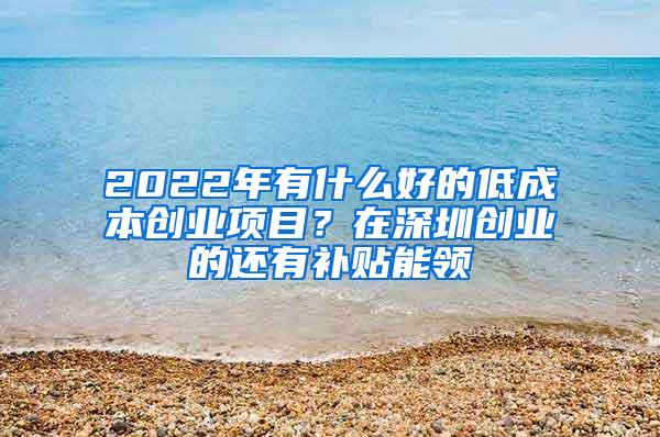 2022年有什么好的低成本创业项目？在深圳创业的还有补贴能领