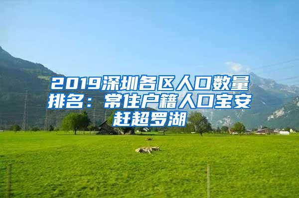 2019深圳各区人口数量排名：常住户籍人口宝安赶超罗湖