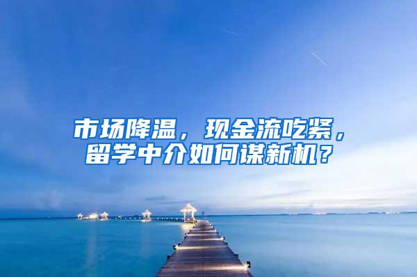 市场降温，现金流吃紧，留学中介如何谋新机？