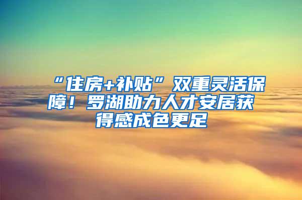 “住房+补贴”双重灵活保障！罗湖助力人才安居获得感成色更足