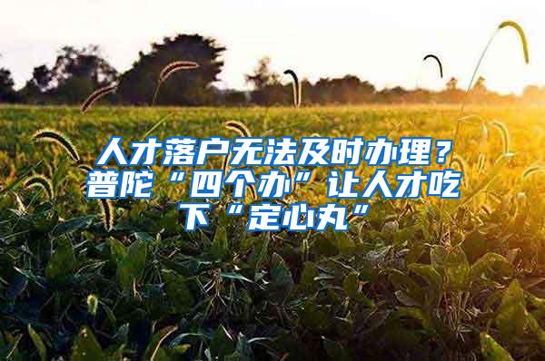 人才落户无法及时办理？普陀“四个办”让人才吃下“定心丸”