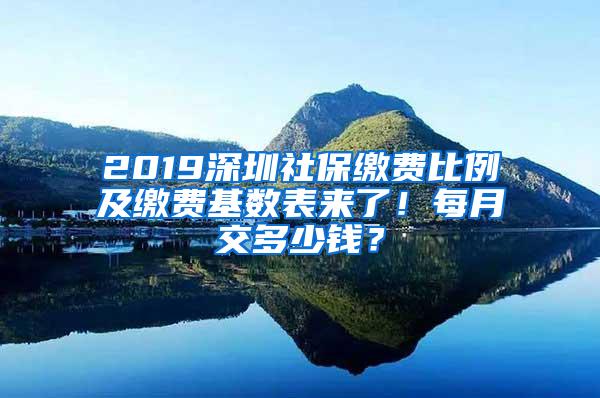 2019深圳社保缴费比例及缴费基数表来了！每月交多少钱？