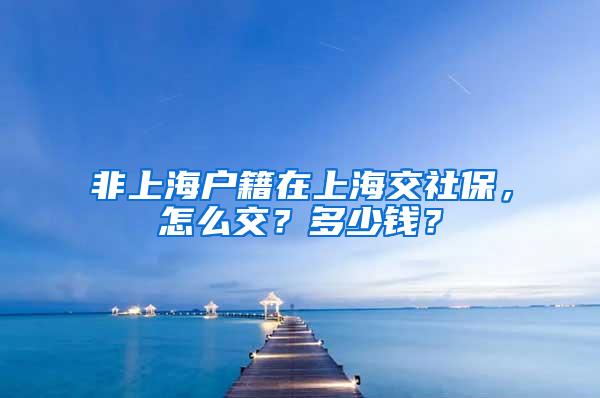 非上海户籍在上海交社保，怎么交？多少钱？