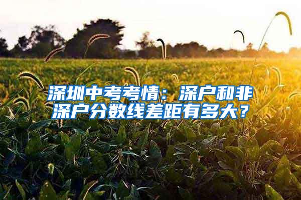 深圳中考考情：深户和非深户分数线差距有多大？