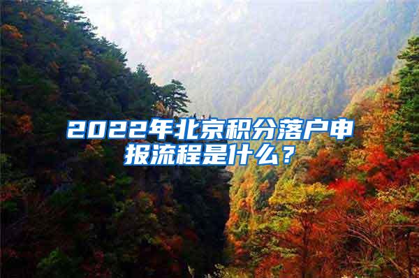 2022年北京积分落户申报流程是什么？