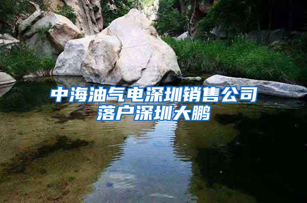 中海油气电深圳销售公司落户深圳大鹏