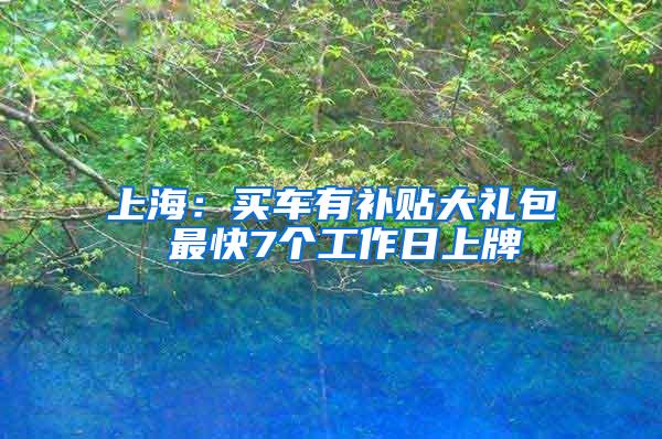 上海：买车有补贴大礼包 最快7个工作日上牌