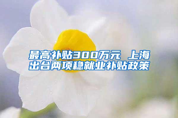 最高补贴300万元 上海出台两项稳就业补贴政策