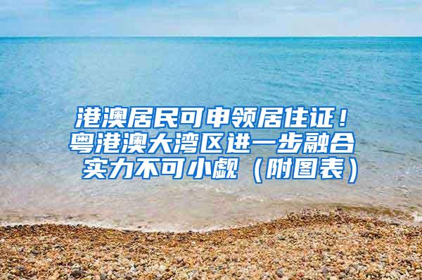 港澳居民可申领居住证！粤港澳大湾区进一步融合 实力不可小觑（附图表）