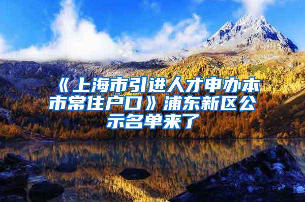 《上海市引进人才申办本市常住户口》浦东新区公示名单来了