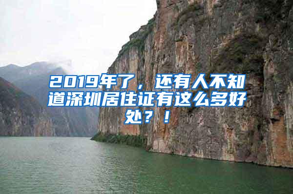 2019年了，还有人不知道深圳居住证有这么多好处？！