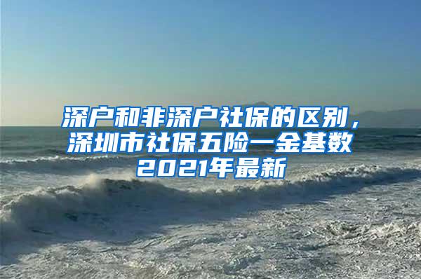 深户和非深户社保的区别，深圳市社保五险一金基数2021年最新