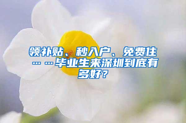 领补贴、秒入户、免费住……毕业生来深圳到底有多好？