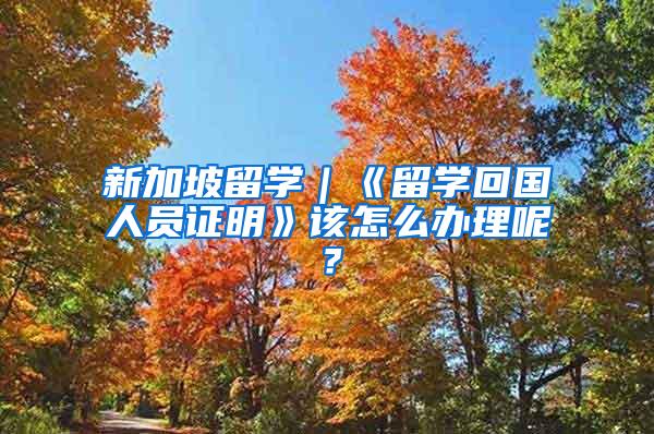 新加坡留学｜《留学回国人员证明》该怎么办理呢？