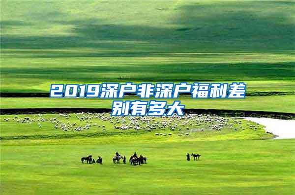 2019深户非深户福利差别有多大