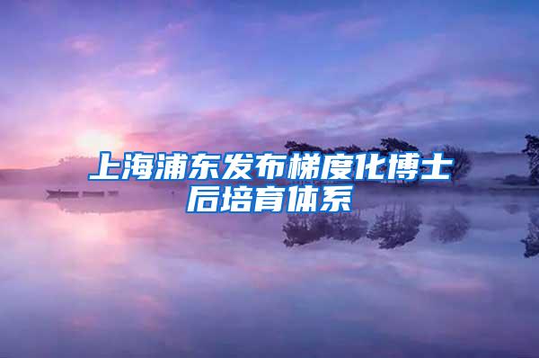 上海浦东发布梯度化博士后培育体系