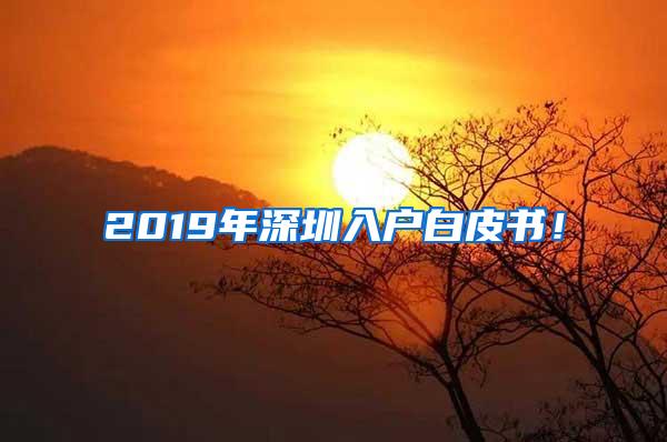 2019年深圳入户白皮书！