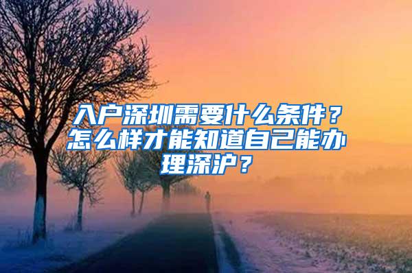 入户深圳需要什么条件？怎么样才能知道自己能办理深沪？