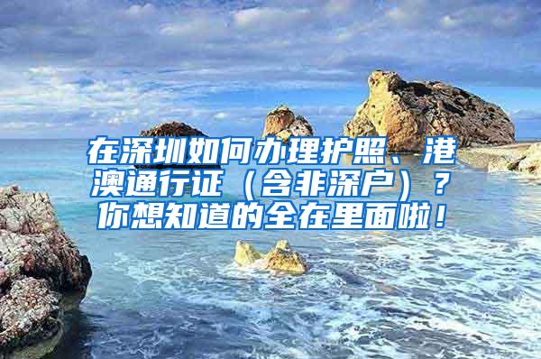 在深圳如何办理护照、港澳通行证（含非深户）？你想知道的全在里面啦！