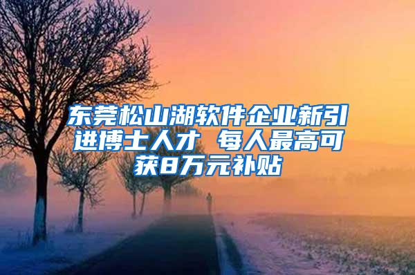 东莞松山湖软件企业新引进博士人才 每人最高可获8万元补贴