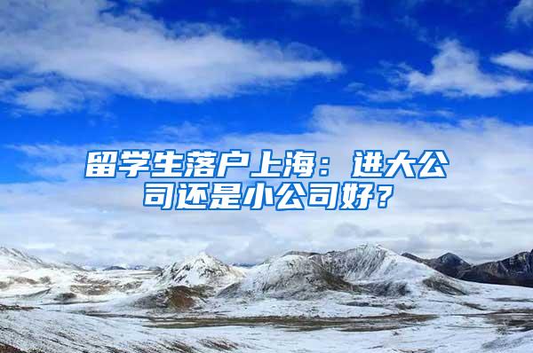 留学生落户上海：进大公司还是小公司好？