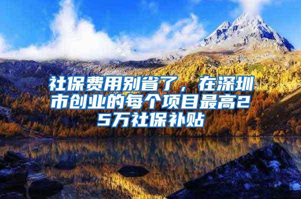 社保费用别省了，在深圳市创业的每个项目最高25万社保补贴