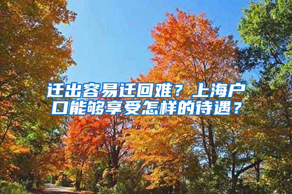 迁出容易迁回难？上海户口能够享受怎样的待遇？