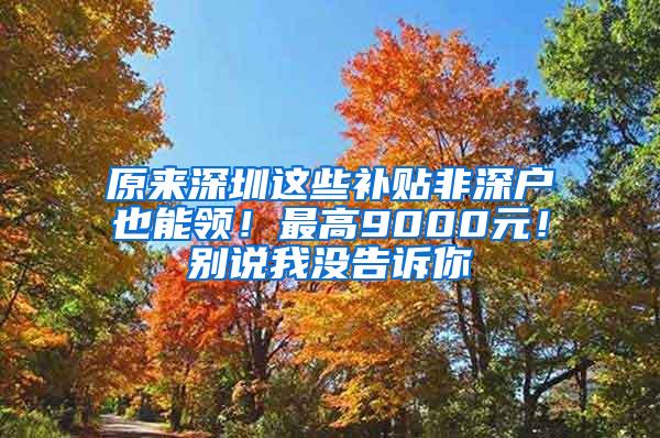 原来深圳这些补贴非深户也能领！最高9000元！别说我没告诉你