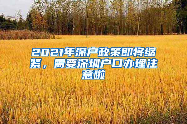 2021年深户政策即将缩紧，需要深圳户口办理注意啦