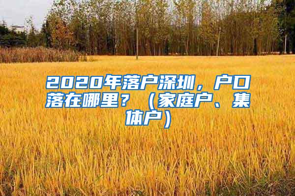 2020年落户深圳，户口落在哪里？（家庭户、集体户）