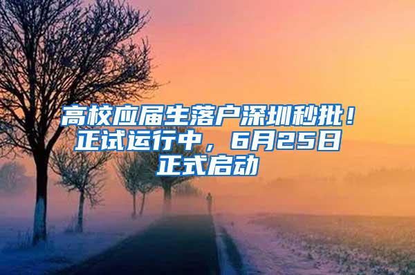 高校应届生落户深圳秒批！正试运行中，6月25日正式启动