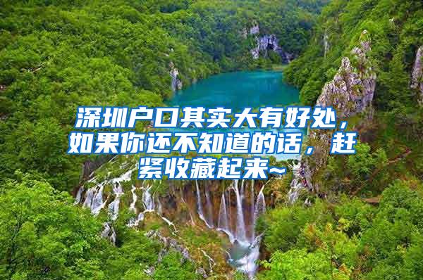 深圳户口其实大有好处，如果你还不知道的话，赶紧收藏起来~