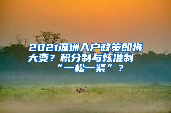 2021深圳入户政策即将大变？积分制与核准制“一松一紧”？