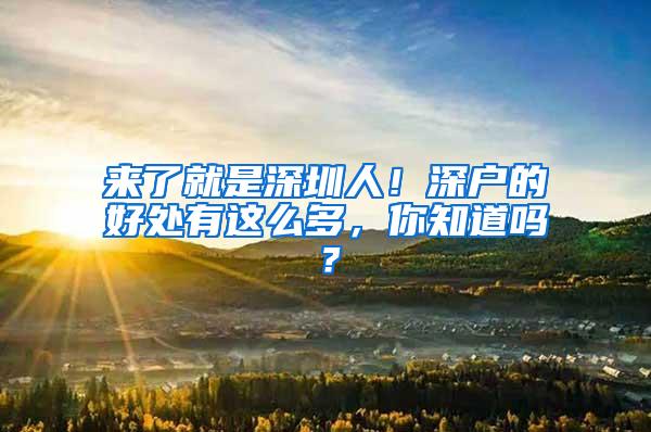 来了就是深圳人！深户的好处有这么多，你知道吗？