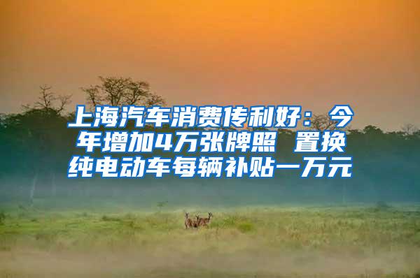 上海汽车消费传利好：今年增加4万张牌照 置换纯电动车每辆补贴一万元