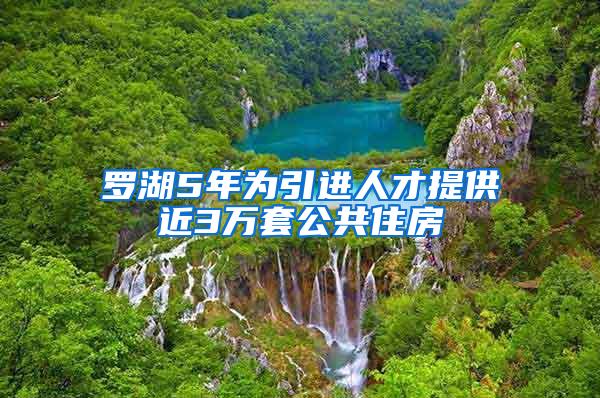 罗湖5年为引进人才提供近3万套公共住房