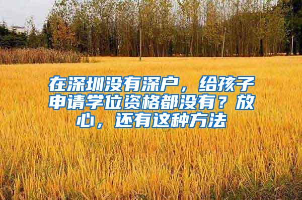 在深圳没有深户，给孩子申请学位资格都没有？放心，还有这种方法