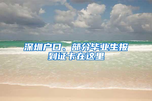 深圳户口、部分毕业生报到证卡在这里