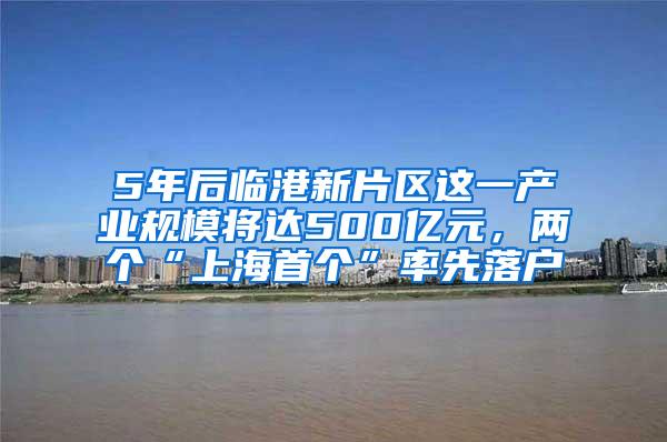 5年后临港新片区这一产业规模将达500亿元，两个“上海首个”率先落户